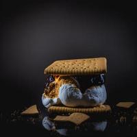 foto smores sobre fondo negro fotografía de alimentos