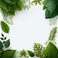 White background topped with lots of green leaf graphic resource photo