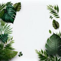 White background topped with lots of green leaf graphic resource photo