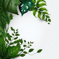 White background topped with lots of green leaf graphic resource photo