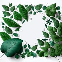 White background topped with lots of green leaf graphic resource photo