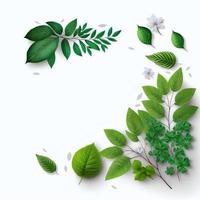 White background topped with lots of green leaf graphic resource photo