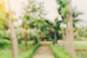 defocused bokeh and blur background of garden trees in sunlight with vintage toned. photo