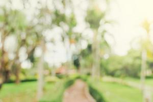 defocused bokeh and blur background of garden trees in sunlight with vintage toned. photo