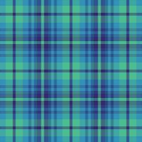 Tartan Plaid With Night Color Pattern. vector