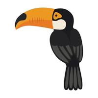 toucan from the back vector