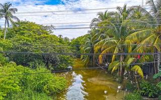 Green beautiful tropical river Freshwater Lagoon in Puerto Escondido Mexico. photo