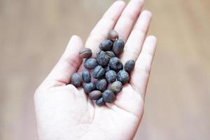 Roasted coffee beans as a background photo