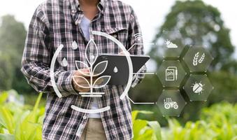 mujer agricultora de tecnología agrícola que sostiene tableta o tecnología de tableta para investigar sobre datos de análisis de problemas agrícolas e icono visual. foto