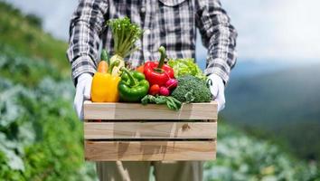 granjero sosteniendo una caja de madera llena de vegetales crudos frescos. cesta con verduras orgánicas frescas y pimientos en las manos. foto