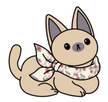 Cute cat with colorful collar png