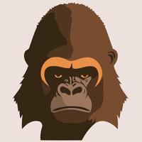 animal head mammal primate gorilla vector