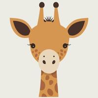 cute giraffe mammal animal head vector