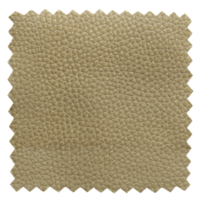 texture d'échantillons de cuir vert isolé avec chemin de détourage pour maquette png