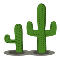 grön kaktus design png