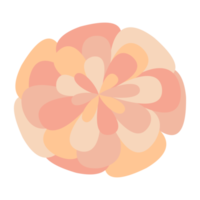 ilustração de uma flor rosa png