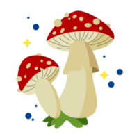 mushrooms in the grass png