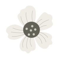 handgezeichnete frühlingsblumen im trendigen png