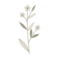 schöne einfache blume png