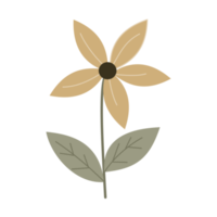 illustration d'une fleur png