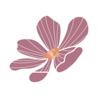 pink flower element png