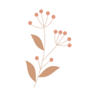 ramo com flores de laranjeira png