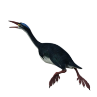 hesperornis prehistorisch vogel geïsoleerd png