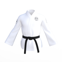 karate custom isolated png