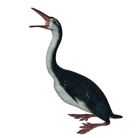 Esperornis preistorico uccello isolato png