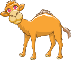 camel png graphic clipart design