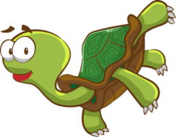 Turtle png graphic clipart design