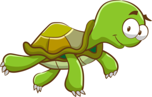 Turtle png graphic clipart design