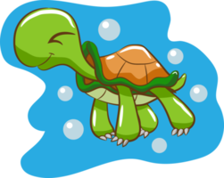 tortuga png gráfico clipart diseño