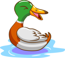 Enten-PNG-Grafik-Clipart-Design png