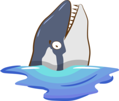 orca png gráfico clipart diseño