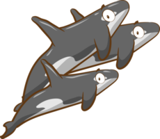 orca png grafico clipart design