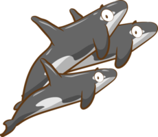 Orca png graphic clipart design