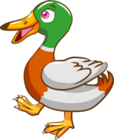 Duck png graphic clipart design