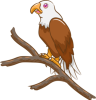 águila png gráfico clipart diseño