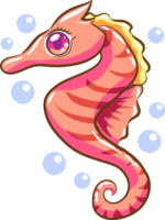 seahorse png graphic clipart design