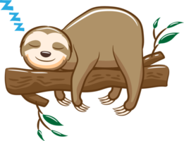 Sloth png graphic clipart design