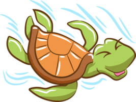 tortuga png gráfico clipart diseño