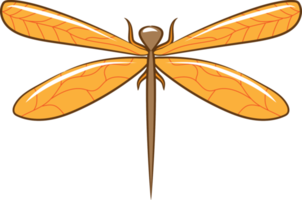 Dragonfly png graphic clipart design