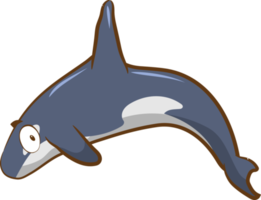 design de clipart gráfico png orca