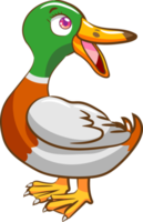 Duck png graphic clipart design