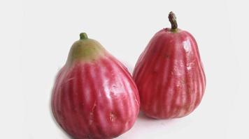 guayaba jamaicana bol o syzygium malaccense aislado con fondo blanco. use para la textura y el camino de recorte esta fruta de guayaba tiene una textura más suave y densa que la guayaba de agua. foto