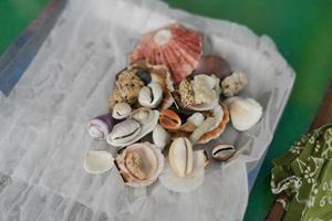 A collection of seashells that have been washed on paper towels to make high-value handicrafts photo
