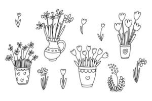 Nice tulips and narcissus are in a pots. Vector hand drawn illustration of spring flowers isolated on white. Black outline. Doodle style. Great for spring and Easter design, coloring books