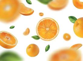 Realistic Oranges Background vector