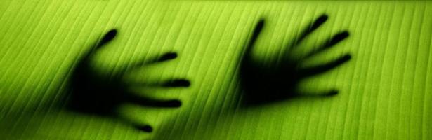 Sustainable Lifestyle Concept. World Environment Day. Harmony and Close to Nature. Green Leaf with Backlit technic as Hands Touching a Leaf Surface photo